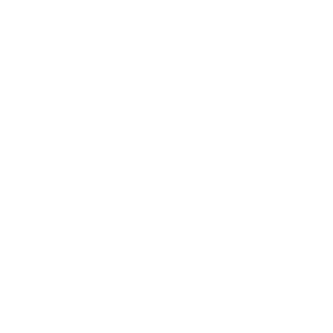 Established 2008